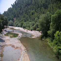 poi image