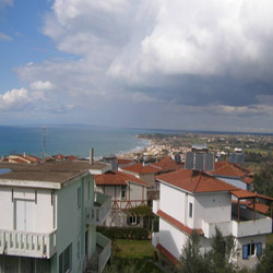 poi image