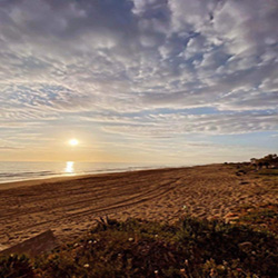 poi image