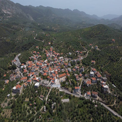 poi image