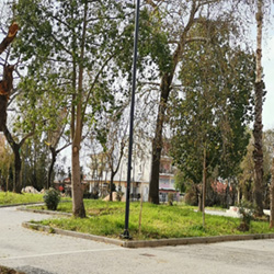 poi image