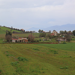 poi image