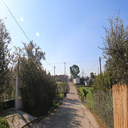 poi image