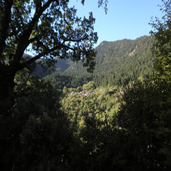 poi image