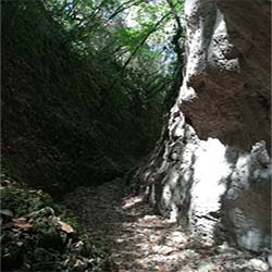 poi image