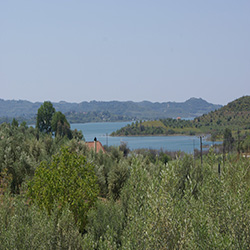 poi image