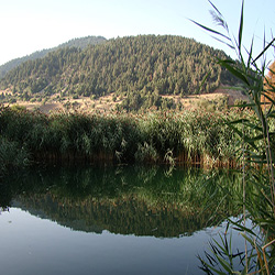 poi image
