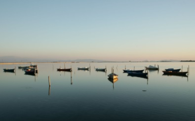 poi image