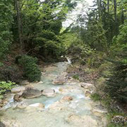 poi image