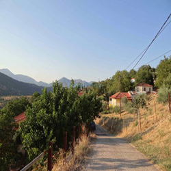 poi image
