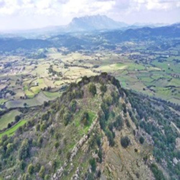 poi image