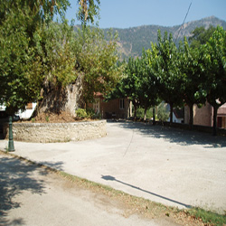 poi image