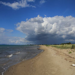 poi image