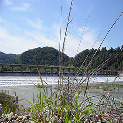 poi image